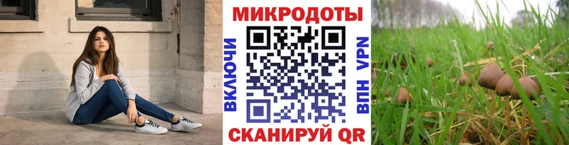 Псилоцибиновые грибы мицелий  Кремёнки 
